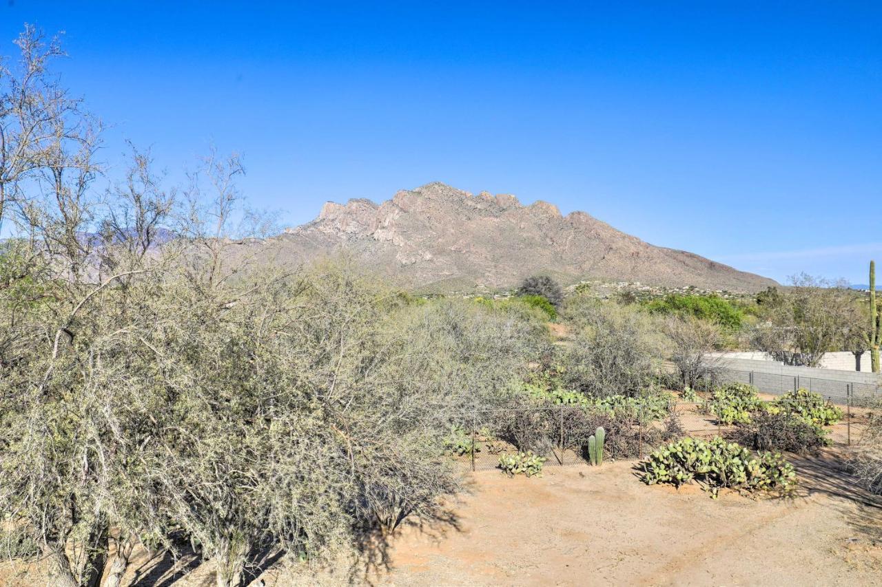 Oro Valley Retreat With Pool, Spa And Rooftop Views! Eksteriør billede